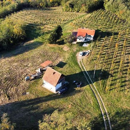 Вилла Vikend House Ljig Экстерьер фото