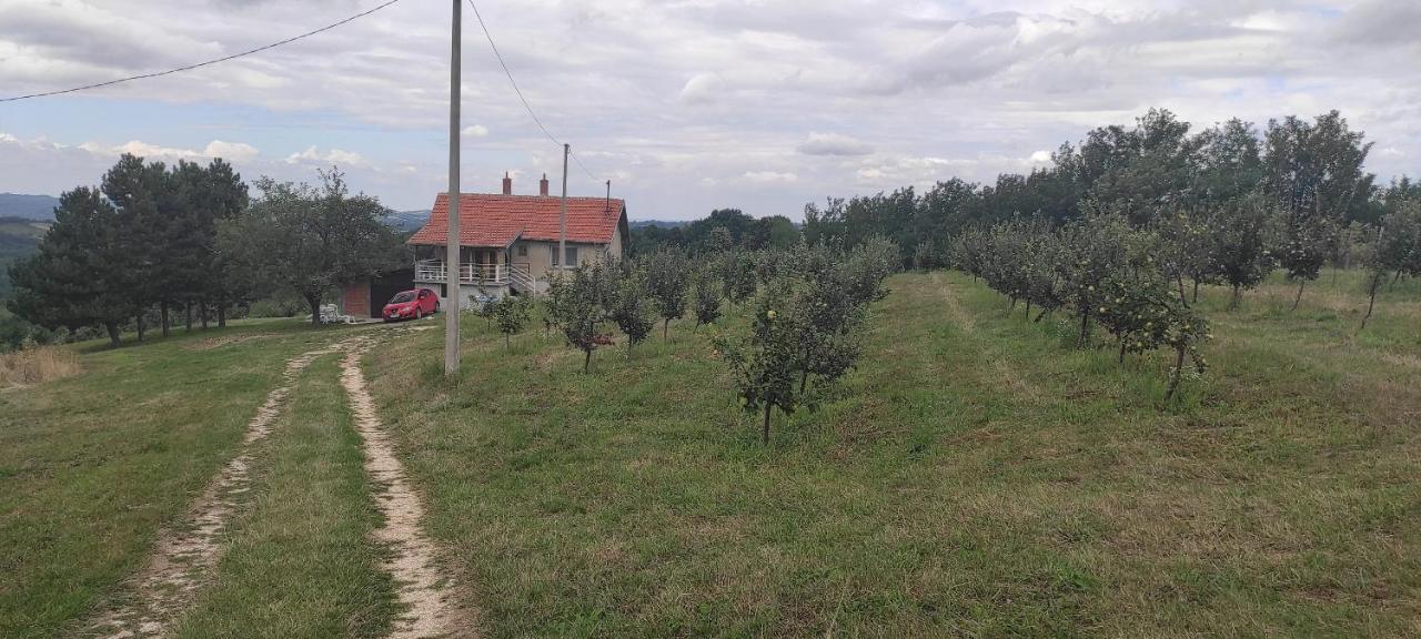 Вилла Vikend House Ljig Экстерьер фото