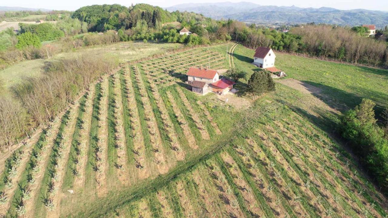 Вилла Vikend House Ljig Экстерьер фото
