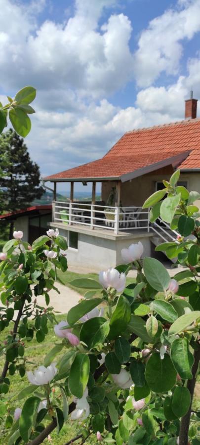 Вилла Vikend House Ljig Экстерьер фото